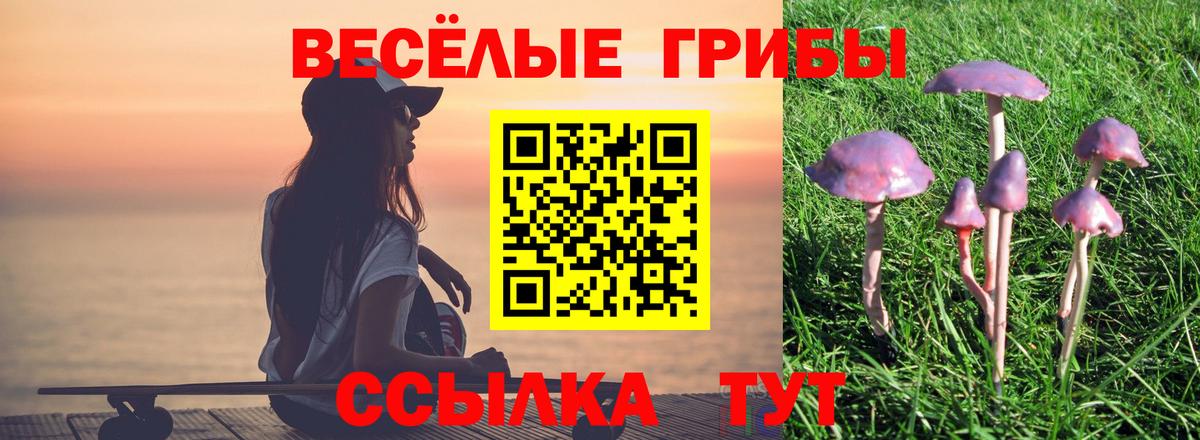 Ахтубинск  Галлюциногенные грибы ЛСД  Вход с VPN  Псилоцибиновые грибы прущие грибы 